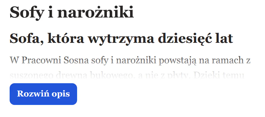Opis kategorii zwinięty do wysokości „Krótko”: nagłówek i około dwóch linijek tekstu, pod spodem przycisk „Rozwiń opis”.